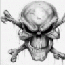 Raider186