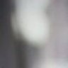 qpidcock