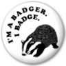 badger906