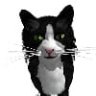 KrullKitty