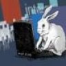 WonderWabbit