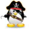 voidPirate