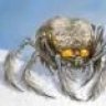 compspider