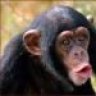 Monkeyman7890