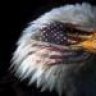 eaglewing