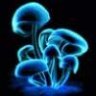 darknight125