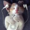 MusicKat