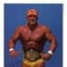 Hulkster