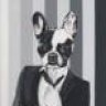 Skwotingdog
