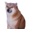 iNiffy