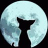 Cat M