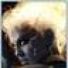 theJacKaL