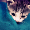 Nishiio