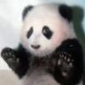 PandaMarketer
