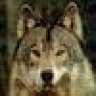 silverwolf73