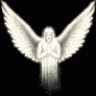 Avie