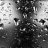 Rinse