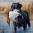 dogwillhunt