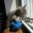 Tink0027