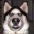 Horny Dog