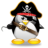 voidPirate