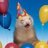 PartyFerret