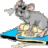 cmdryker