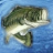 bassfisher6522