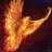PhoenixRising