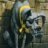 Greydog1