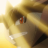 Terrakion