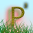 plaviplavac