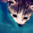 Nishiio
