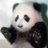 PandaMarketer