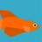 Goldfish64
