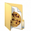 Internet Explorer - Import and Export Cookies