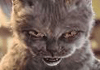 xhGoJ.gif