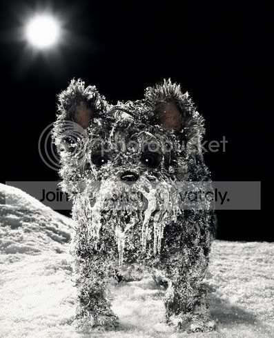 Frozen.jpg