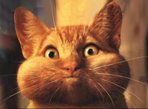 Cat-Barf.PNG
