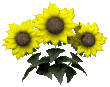 file0056MA19882324-0009.gif