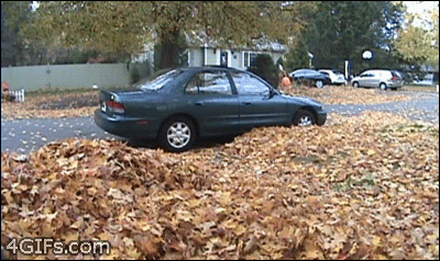 PFNRcio.gif