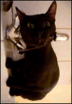 licking_cat.gif