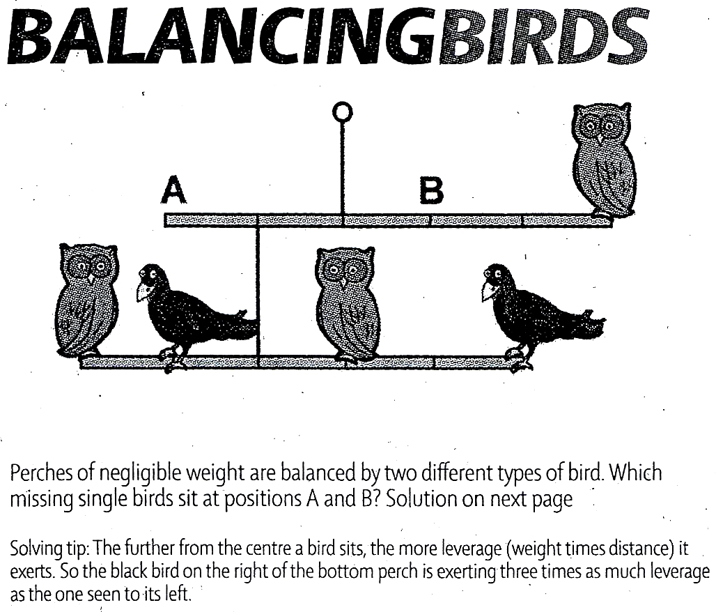balancing-birds.jpg