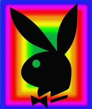 bunny.gif