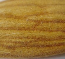 m0001043.jpg