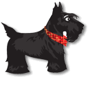 scotty2011.gif