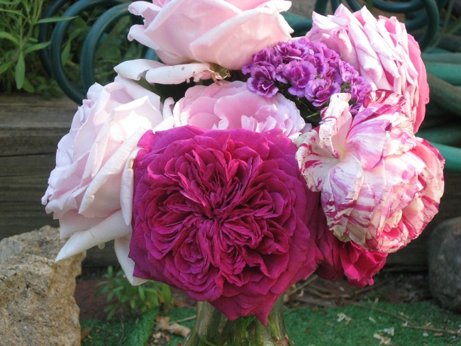 BouquetwithSweetWillliam650.jpg