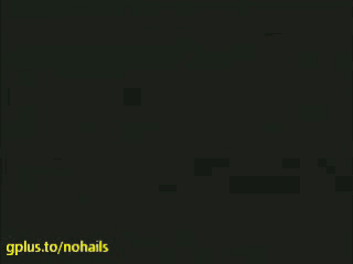 daily_gifdump_83_05.gif