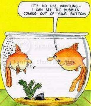 fish-farting-bubbles.jpg