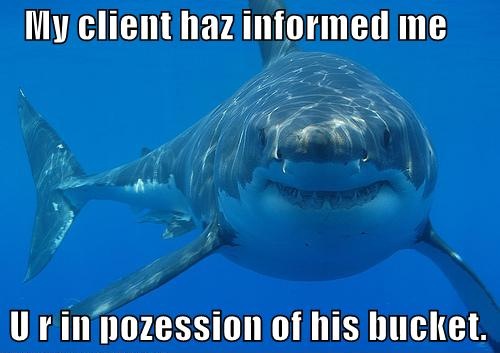 lawyer_shark_bucket.jpg